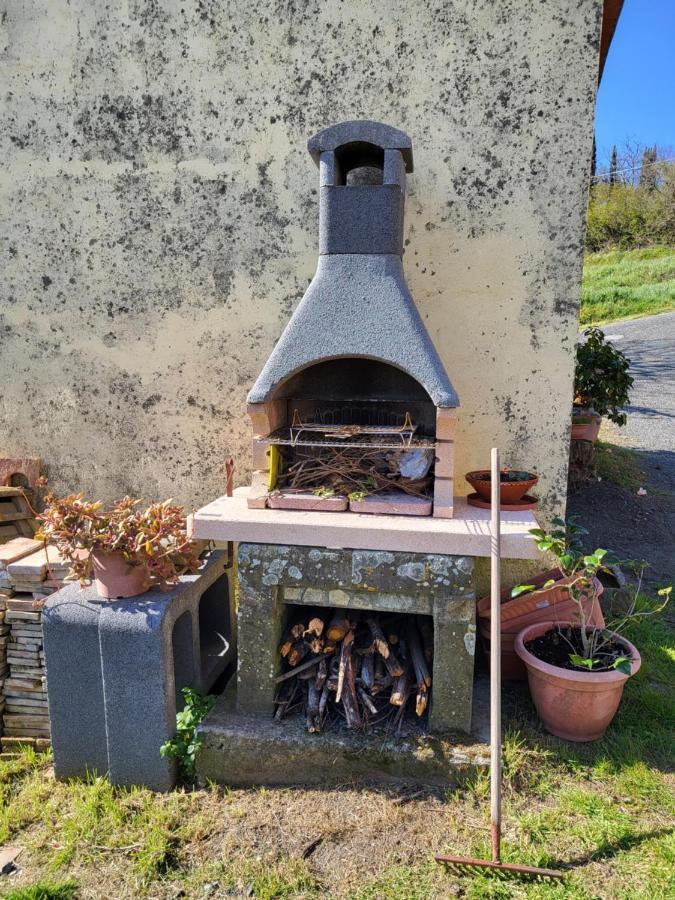 I Castagnini Apartment Montecatini Val di Cecina Bagian luar foto
