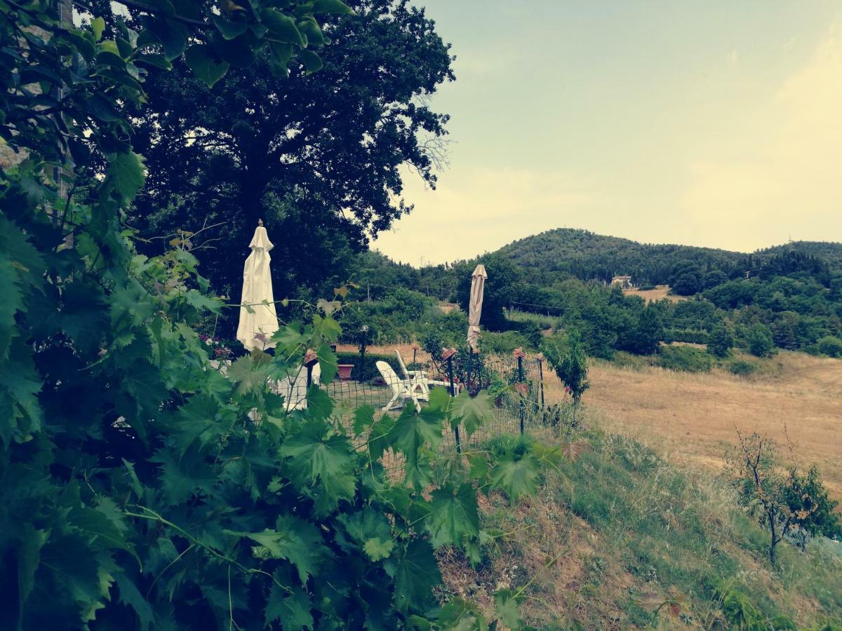 I Castagnini Apartment Montecatini Val di Cecina Bagian luar foto