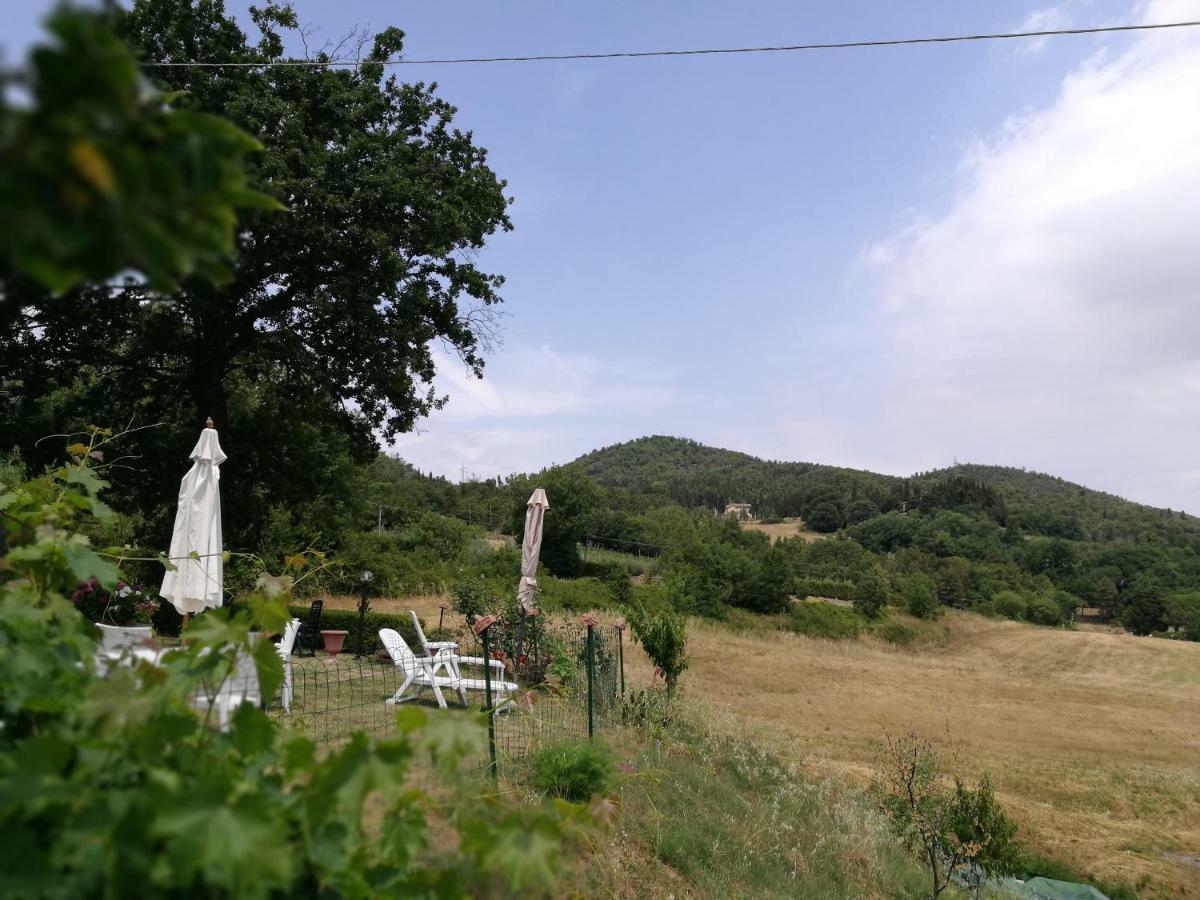 I Castagnini Apartment Montecatini Val di Cecina Bagian luar foto
