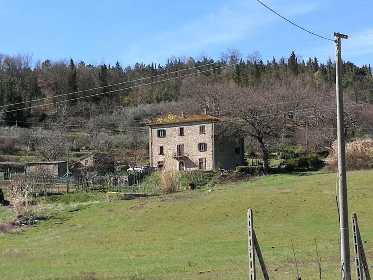 I Castagnini Apartment Montecatini Val di Cecina Bagian luar foto